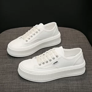 Spring New Style Fashionable Comfortable Wear-resistant Elegant and Sexy Women's Shoes Versatile Lace-up Biscuit Shoes